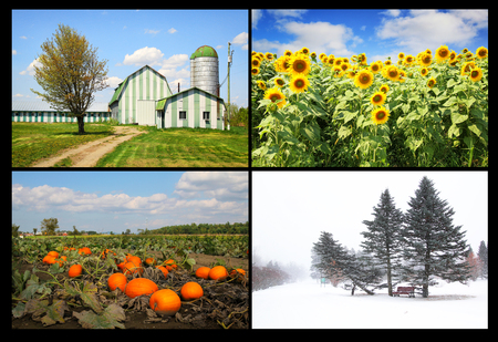 Collage of four pictures. one for each season, spring, summer, fall and winterの写真素材