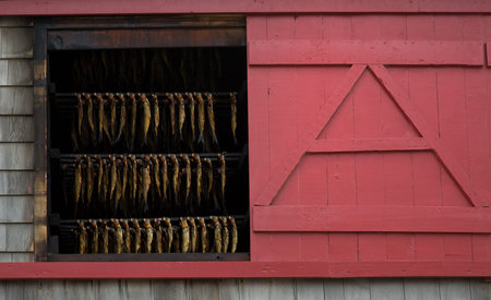 Fresh smoked herring in a red house in Magdelan island in Canadaの写真素材
