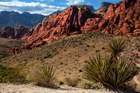 Landscape into Red Rock Canyon in Nevada with mountains in backgroundのeditorial素材