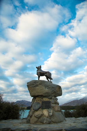TEKAPO LAKE-NZ, march 9, 2018:  Bronze statue of a New Zealand Collie sheepdog in recognition of the indispensable role of the sheepdog in their livelihoods made by sculptor Innes Elliott of Kaikouraのeditorial素材