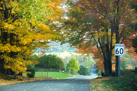 Rural road surround by yellow trees during a nice and sunny autumn dayの写真素材