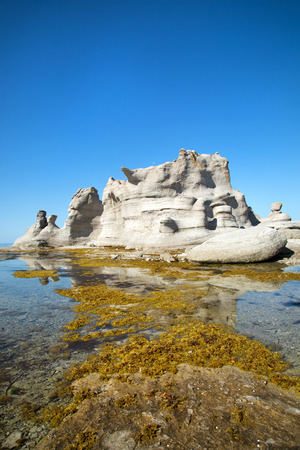 Beautiful chateau with yellow seaweed in front in Mingan Archipelago National Park Reserve in Quebec in Canadaの写真素材