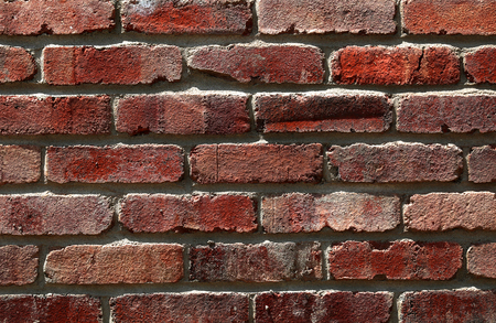 Mat brick wall in natural terra cotta colour with light grey cementの写真素材