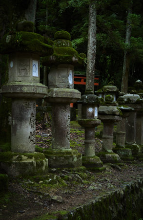 Famous lantern line up its main path at Kasuga Taisha a religious temple in Nara famous for its lanternsの写真素材