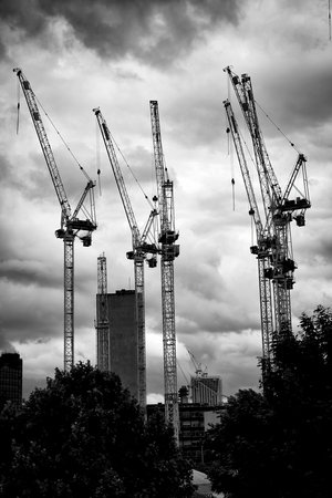 Cranes everywhere. Black and white picture.の写真素材