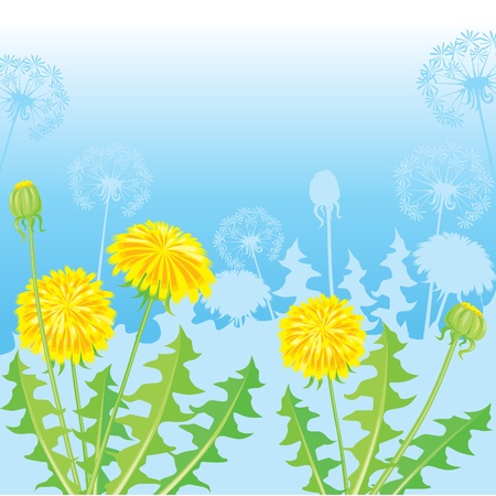 Summer Postcard from dandelionsのイラスト素材