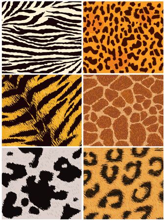 Fur textureのイラスト素材