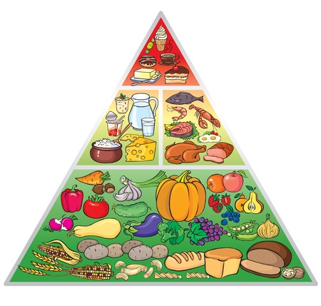 Illustration of food pyramidのイラスト素材