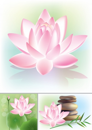 Lotus. Contains transparent objects.のイラスト素材