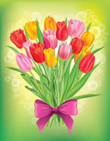 Bouquet of fresh spring tulips different colors. Contains transparent objects. EPS10のイラスト素材