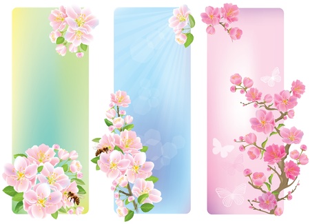 Vertical banners with a blossoming branch  Contains transparent objectsのイラスト素材