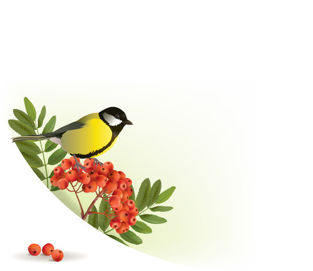 Corner banner with rowan and tomtit. のイラスト素材