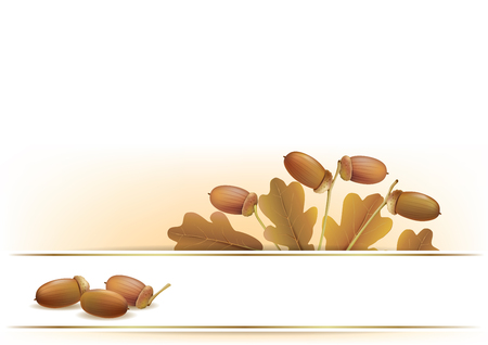 Banner with acorns.  のイラスト素材