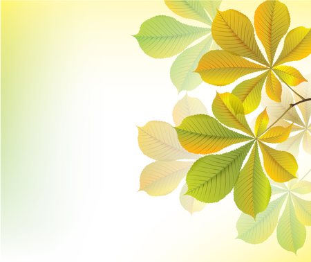 Beautiful yellow background with chestnut leaves.  のイラスト素材