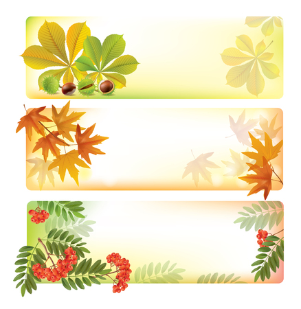 Horizontal autumn banners.  のイラスト素材