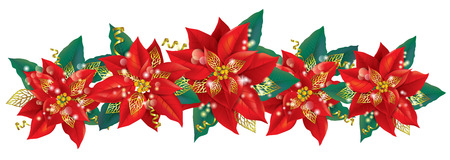 Christmas garland of poinsettia. Contains transparent objects. EPS10のイラスト素材
