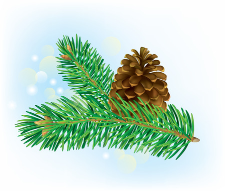  Branch of spruce with pine cone. Contains transparent objects. EPS10 のイラスト素材