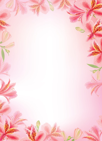 Alstroemeria vertical background flower. Eps10 formatのイラスト素材