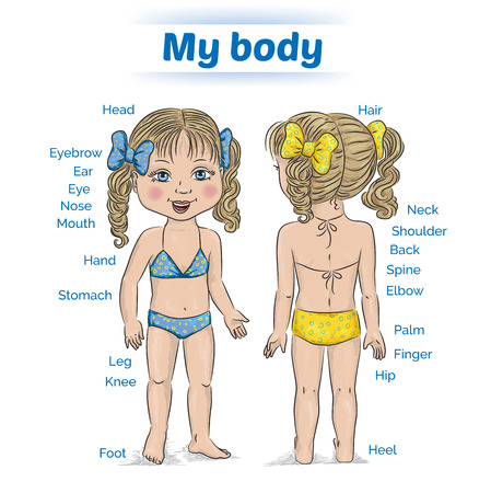 illustration "my body" with signaturesのイラスト素材