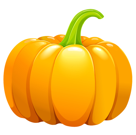 Beautiful ripe orange pumpkin without leafes.のイラスト素材