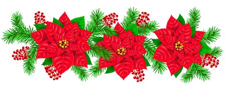 Garland fresh Poinsettia branch fir red berries hollyのイラスト素材