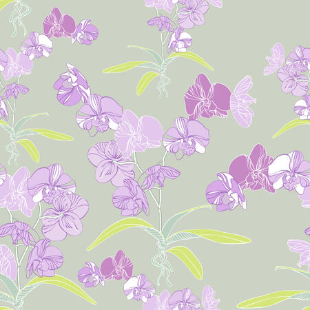 Phalaenopsis orchidのイラスト素材