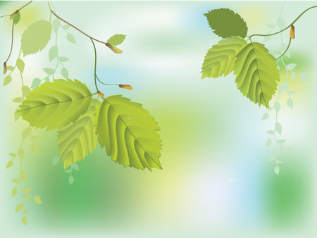 Background of fresh green leaves のイラスト素材