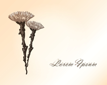 beautiful sweet vintage hand drawing frame of flowersのイラスト素材