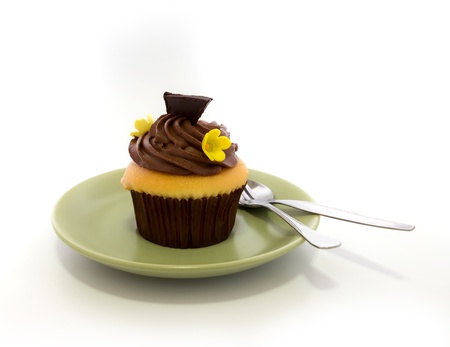 Chocolate cup cake in green dishの写真素材