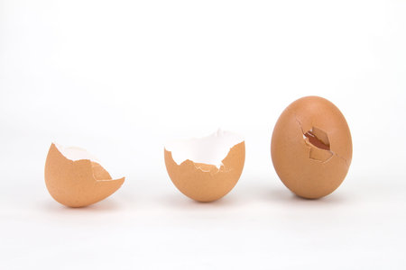 broken and cracked egg shell on white background
