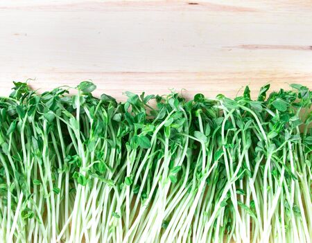 closeup the green pea sprout  on white backgroundの写真素材