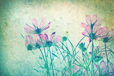 Abstract retro background from Cosmos flowers filtered by grunge textureの写真素材