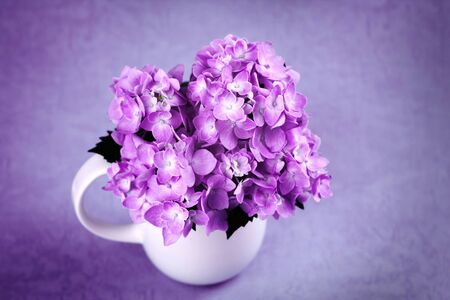 selective focus of the sweet purple hydrangea flowers in white vase in still life vintage styleの写真素材