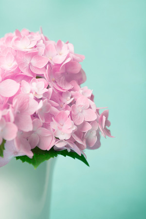 sweet pink hydrangea flowers in white vase , vintage styleの写真素材