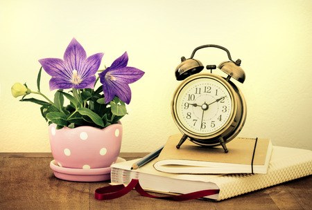 the purple balloon flower or Platycodon grandiflorus flower in cute pot  ,a vintage alarm clock  and diary books on wooden table with copy spaceの写真素材