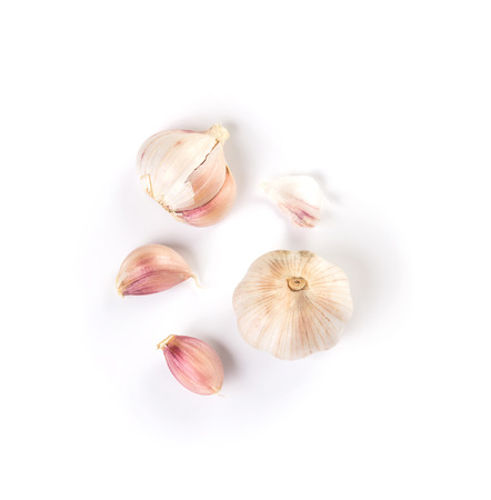 the garlic on white backgroundの写真素材