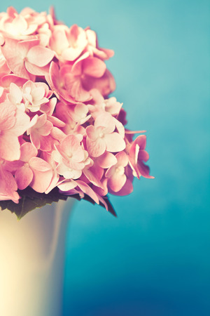 vintage and retro color tone of sweet  hydrangea flowers in white vaseの写真素材