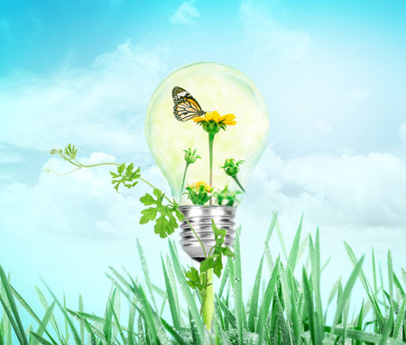 Light bulb with flower tree and butterfly inside on nature green grass and sky background , eco...