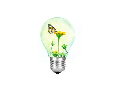 Light bulb with flower tree and butterfly inside  isolated on white background , eco conceptの写真素材