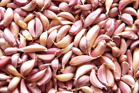 Close up garlic backgroundの写真素材