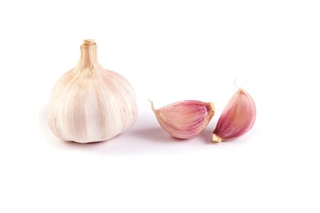 the garlic on white backgroundの写真素材