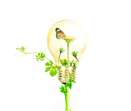 Light bulb with green tree and flower inside  isolated on white background