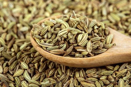 close up  fennel seed in wooden spoonの写真素材