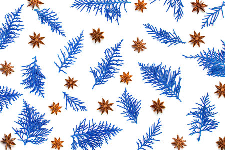 fresh blue pine leaves with anise star herb , Oriental Arborvitae, Thuja orientalis background for Christmas design foliage pattern and backdropの写真素材