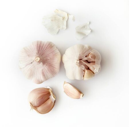 the garlic on white backgroundの写真素材