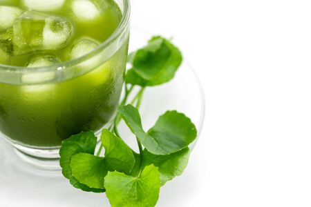 Fresh green Gotu kola, Centella asiatica leaf and juice on white background, Asiatic pennywort, Indian pennywort, ayurvedic medical herb conceptの写真素材