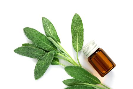 Close up fresh green sage herb leaf with bottle of essential oil on white background, herb essence conceptの写真素材