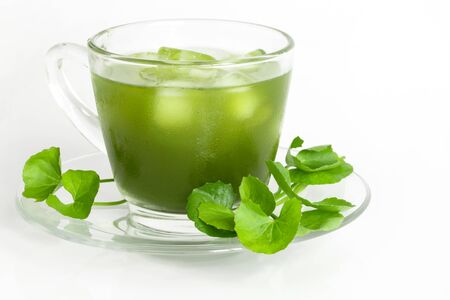 Fresh green Gotu kola, Centella asiatica leaf and juice on white background, Asiatic pennywort, Indian pennywort, ayurvedic medical herb conceptの写真素材