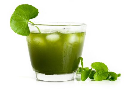 Fresh green Gotu kola, Centella asiatica leaf and juice on white background, Asiatic pennywort, Indian pennywort, ayurvedic medical herb conceptの写真素材