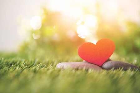 close up a red heart shape on green fresh grass , good relax and love romance feeling symbol , valentines day background の写真素材